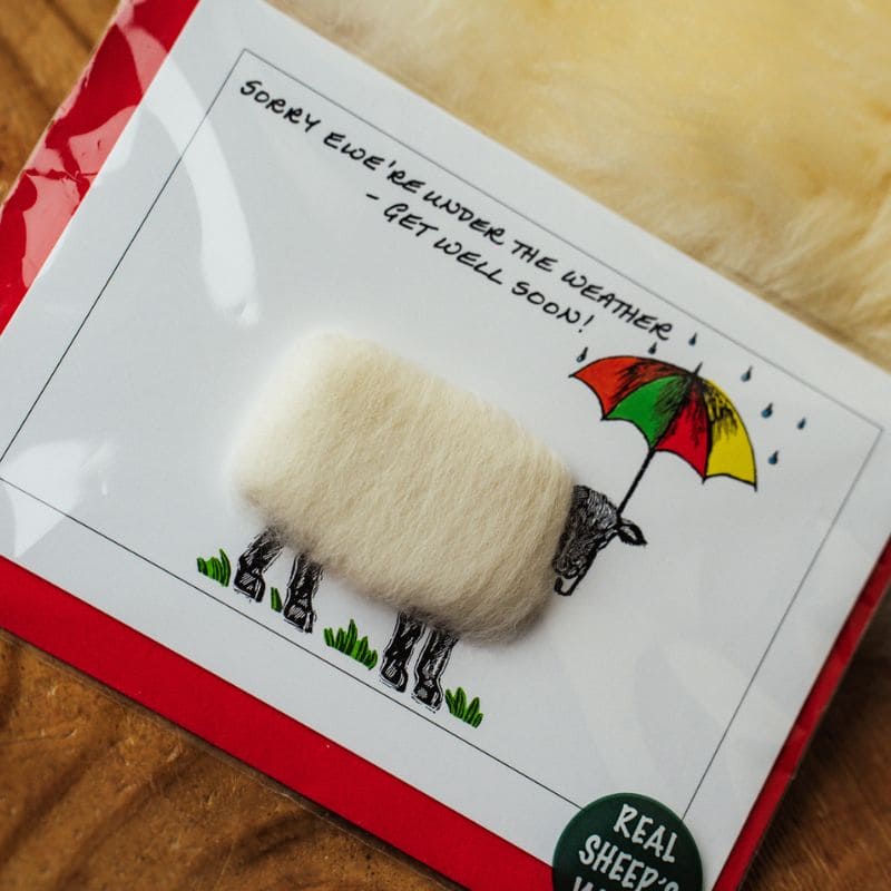 Sorry Ewe're Under The Weather- Get Well Soon!