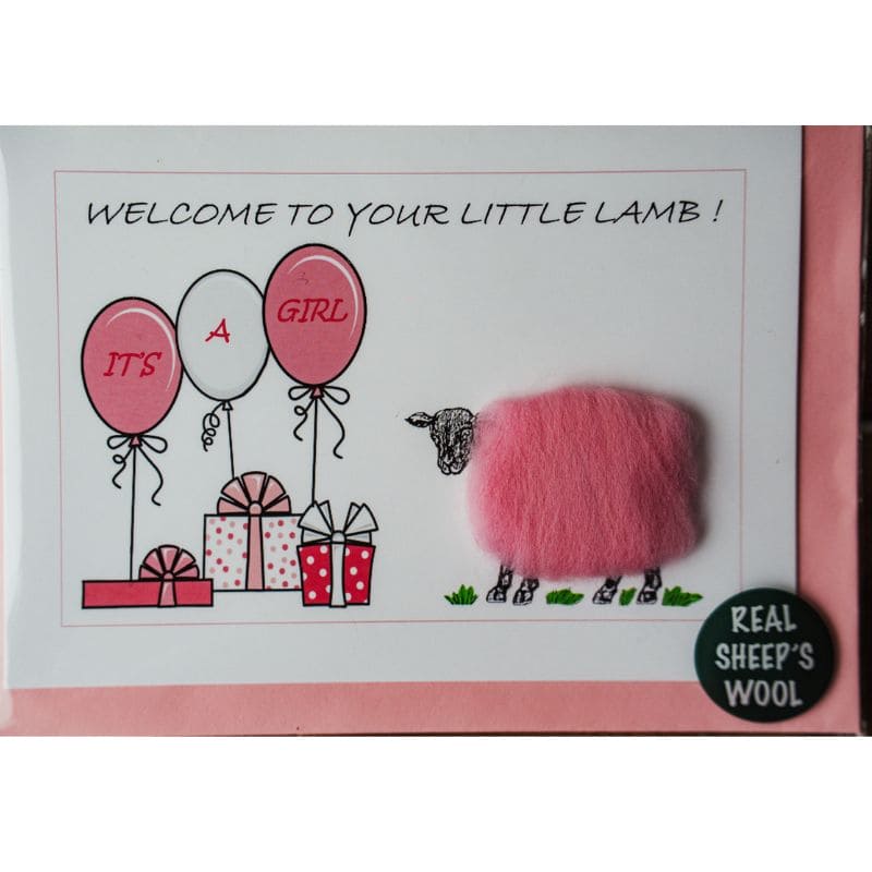 Welcome To Your Little Lamb!