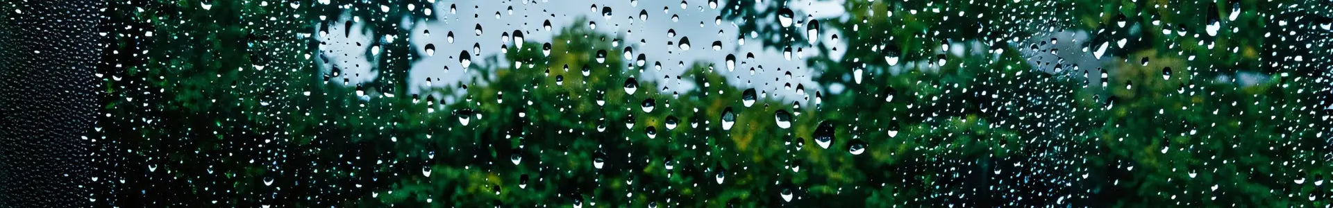 Rain falling on the window