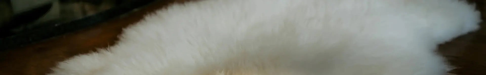 White Sheepskin Rug 