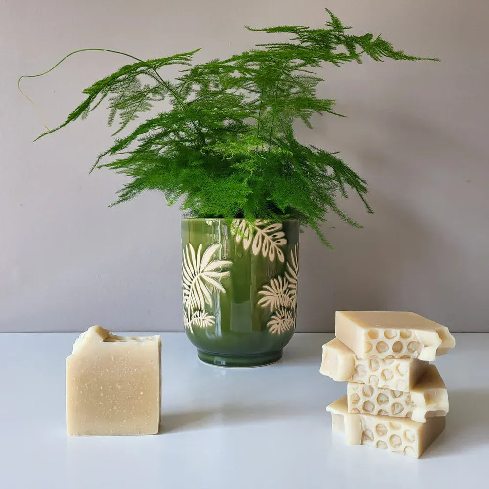 Connemara Sheep & Wool Centre Beyond The Fern - Honey Coconut Soap