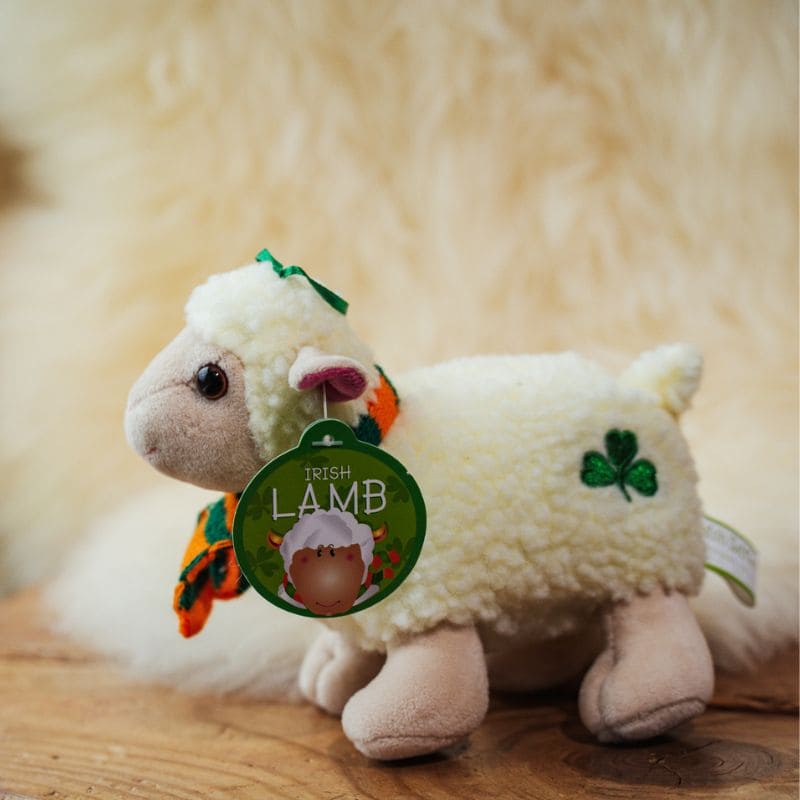 Irish Lamb Teddy