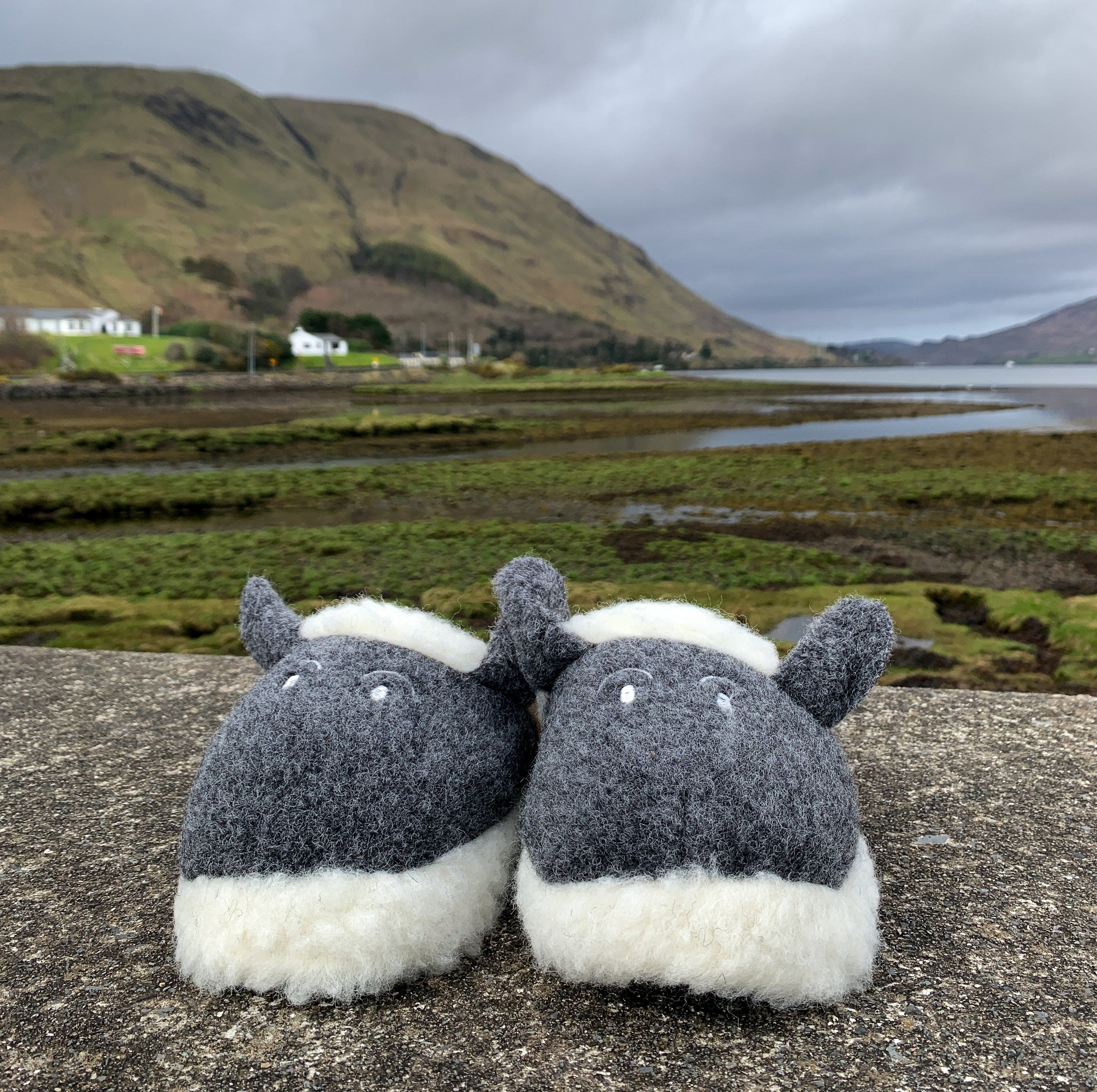 Wool slippers - Lamy