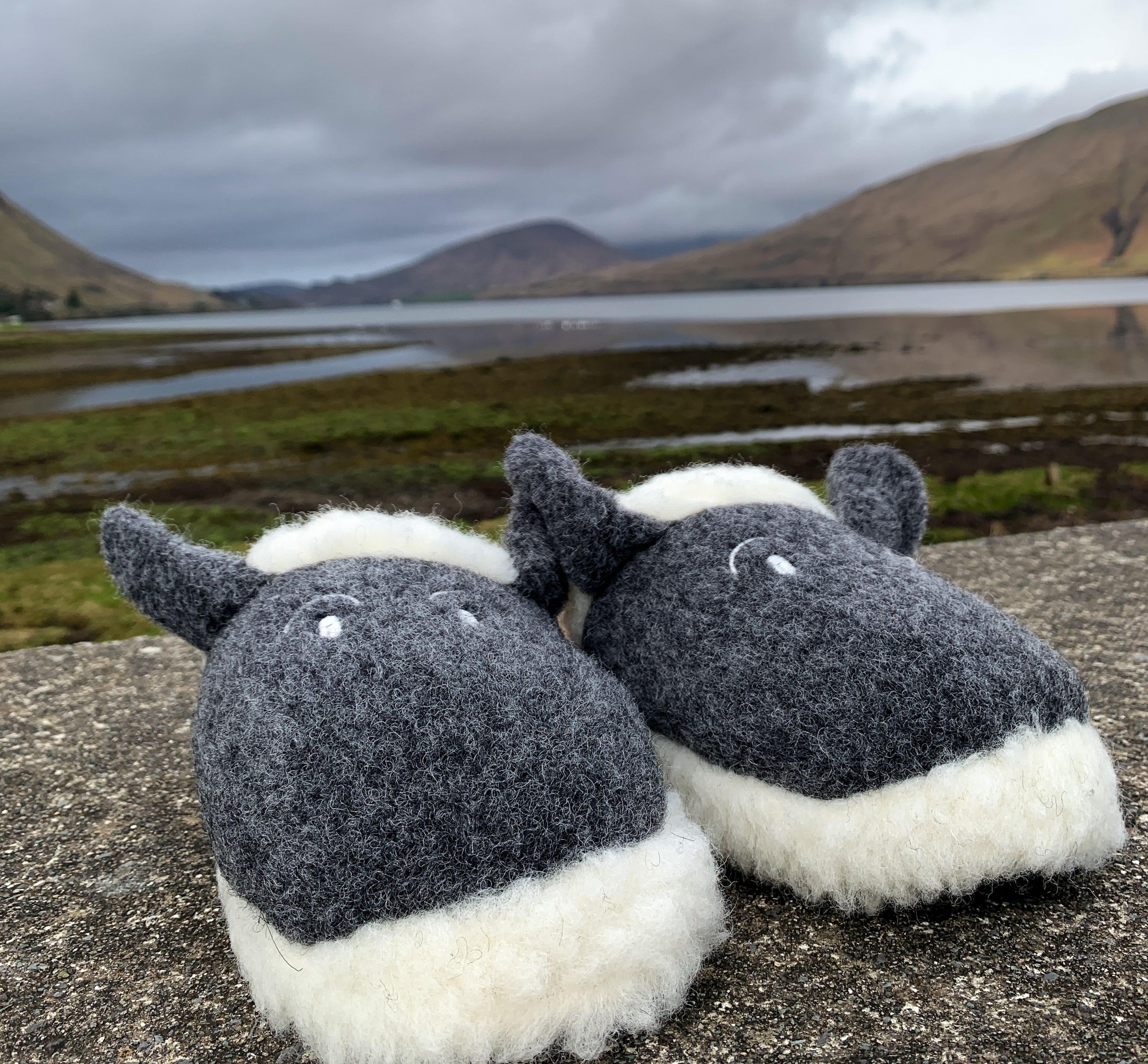 Wool slippers - Lamy