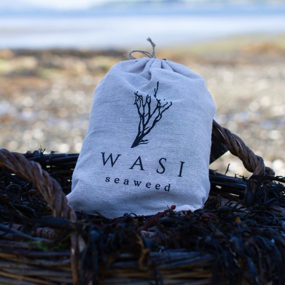 WASI - Seaweed Foot Spa Bath