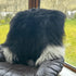 Waterford Sheepskins Sheepskin Rug - Rare Breed - Black and  Cream