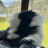 Waterford Sheepskins Sheepskin Rug - Rare Breed - Black and  Cream