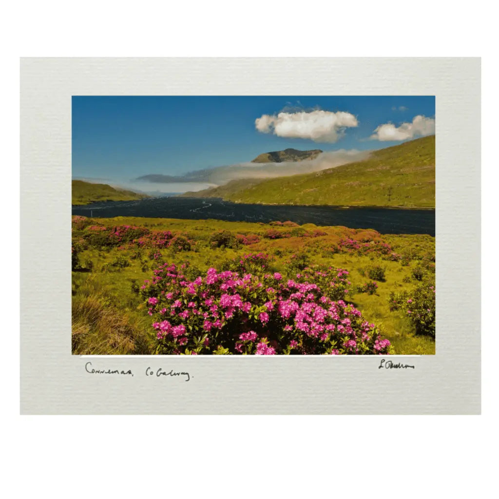 Sean Tomkins Sean Tomkins Print - Killary Fjord