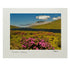 Sean Tomkins Sean Tomkins Print - Killary Fjord