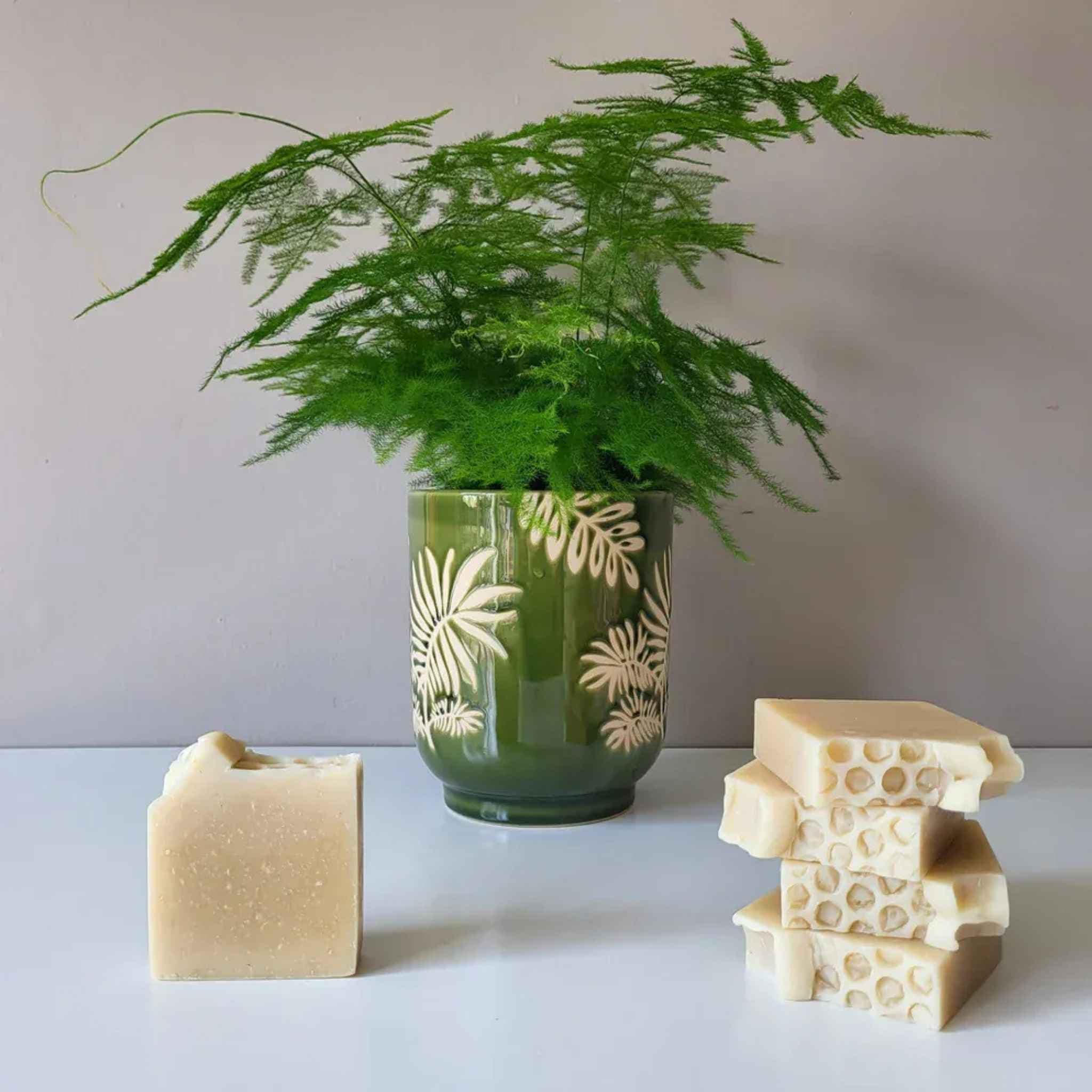 Connemara Sheep & Wool Centre Beyond The Fern - Honey Coconut Soap