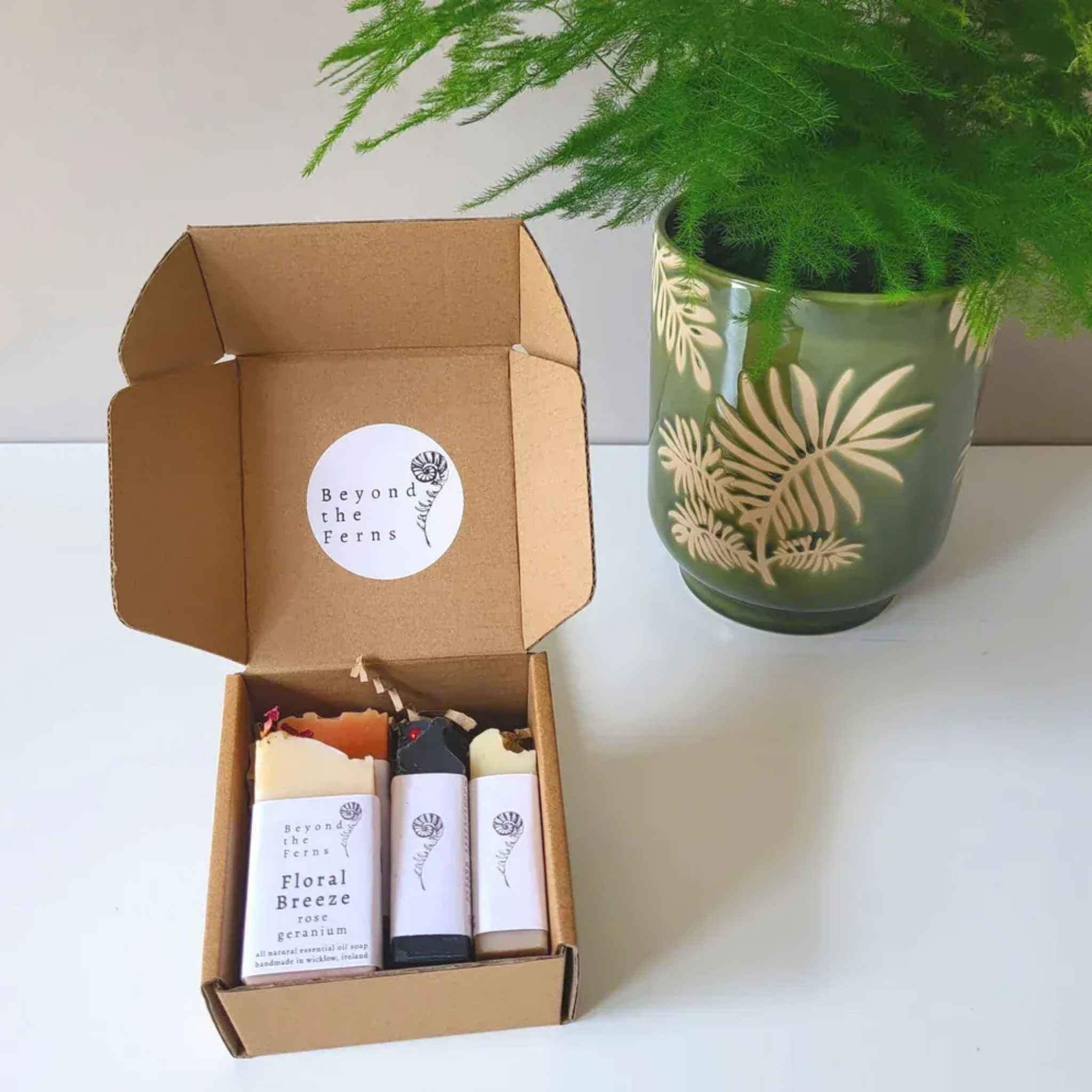 Connemara Sheep & Wool Centre Beyond The Fern - Small Soap Bundle