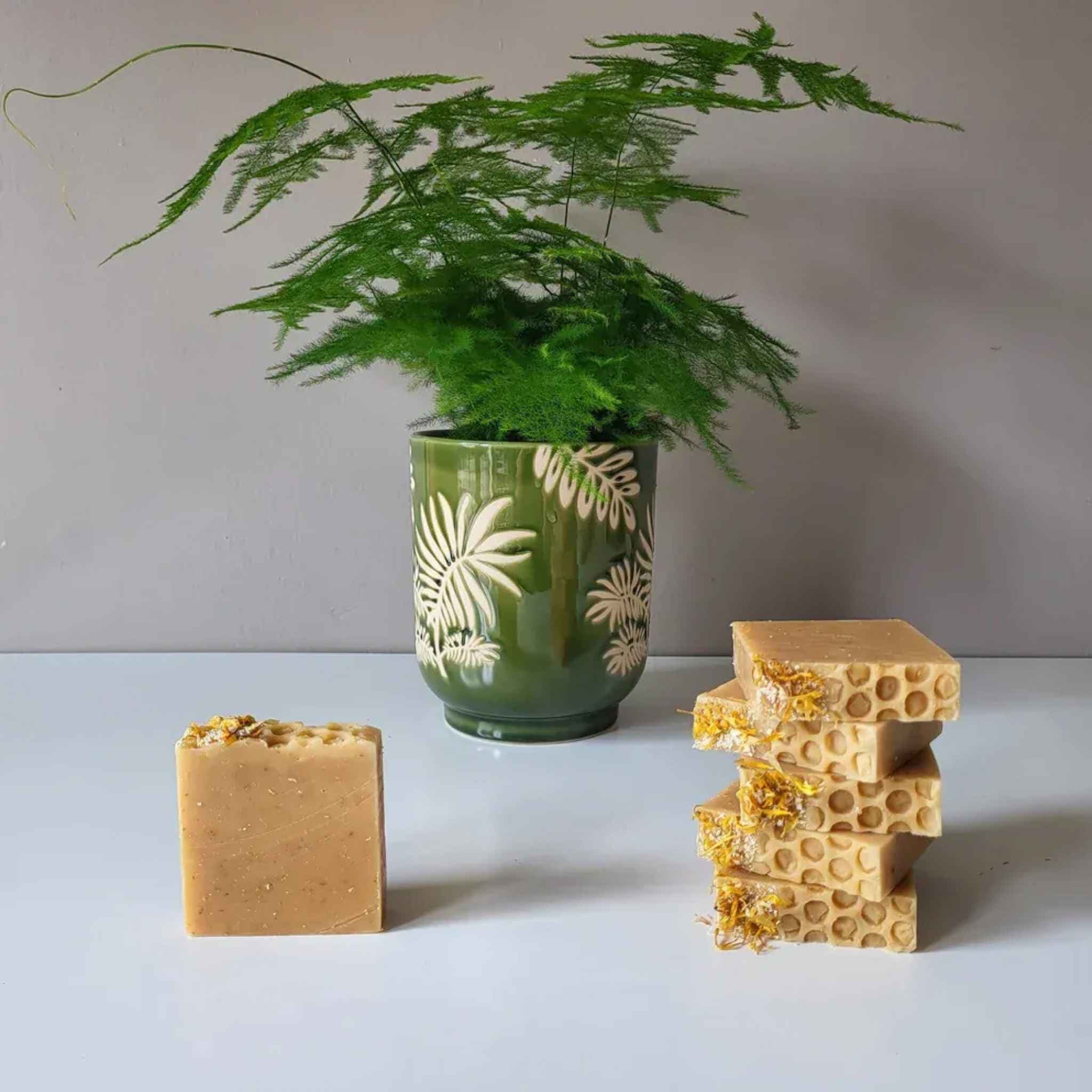 Connemara Sheep & Wool Centre Beyond The Ferns - Lemongrass Honey Soap