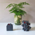 Connemara Sheep & Wool Centre Beyond The Ferns - Charcoal Soap
