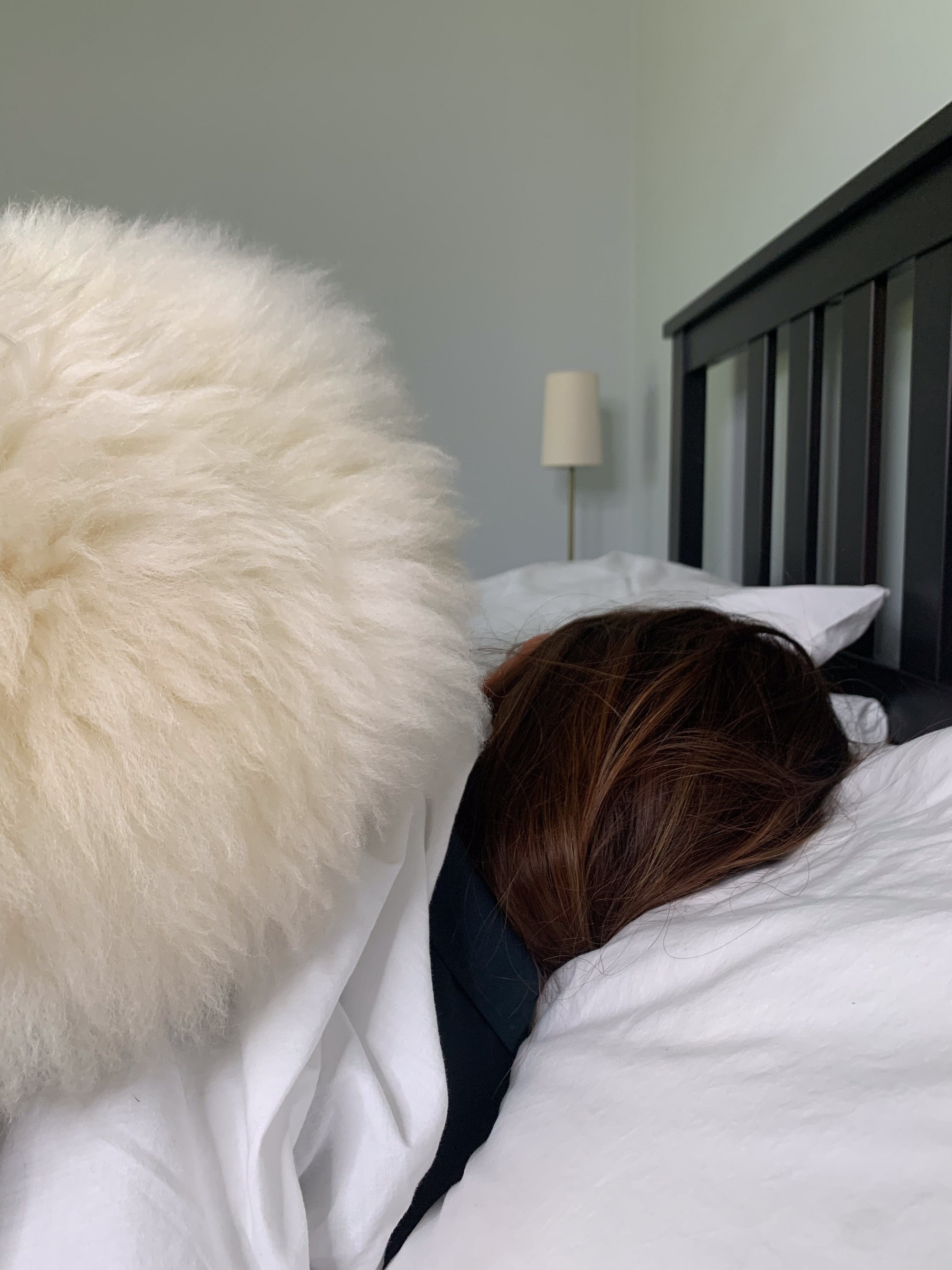 Waterford Sheepskins Double Sheepskin Rug - Natural - 100% Made in Ireland