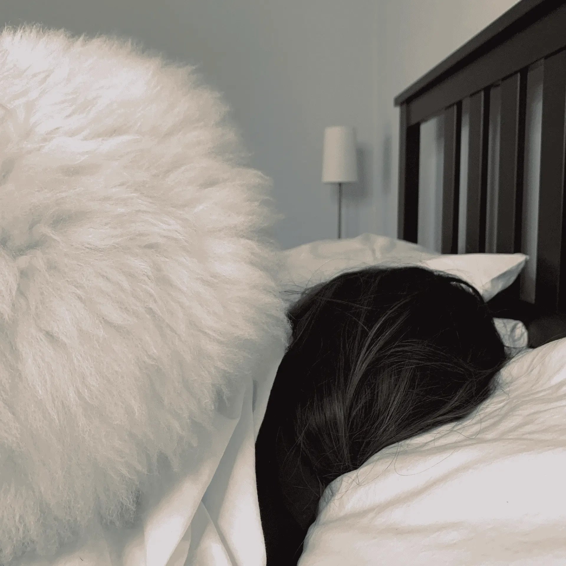Waterford Sheepskins Double Sheepskin Rug - Natural - 100% Made in Ireland