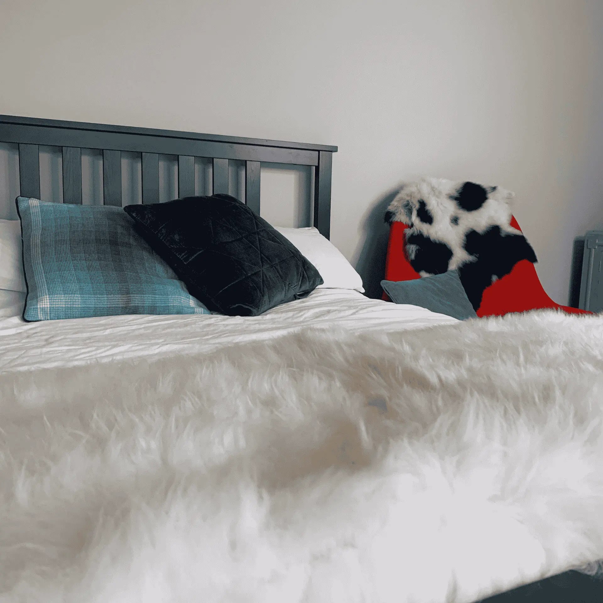 Waterford Sheepskins Double Sheepskin Rug - Natural - 100% Made in Ireland