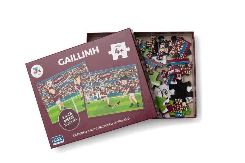 JR Games Galway GAA jigsaw puzzle Age 4+