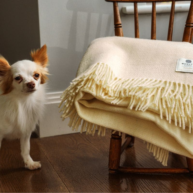 Connemara Sheep & Wool Centre Galway Wool McNutt Blanket