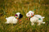 Connemara Sheep & Wool Centre Irish Lamb Teddy