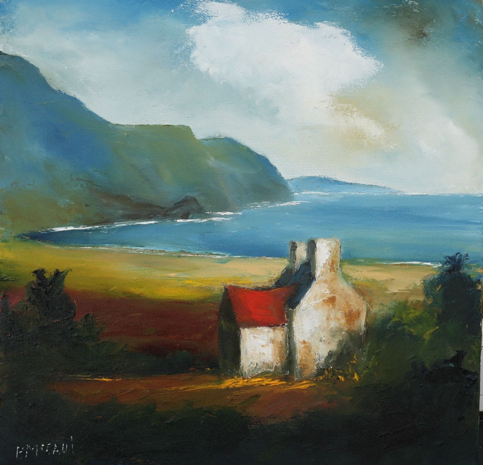 Padraig McCaul Island Home - Limited Edition Print by Padraig McCaul