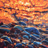 Kevin Lowrey Print Kevin Lowery Art Pebbles XXV - Limited Edition Print