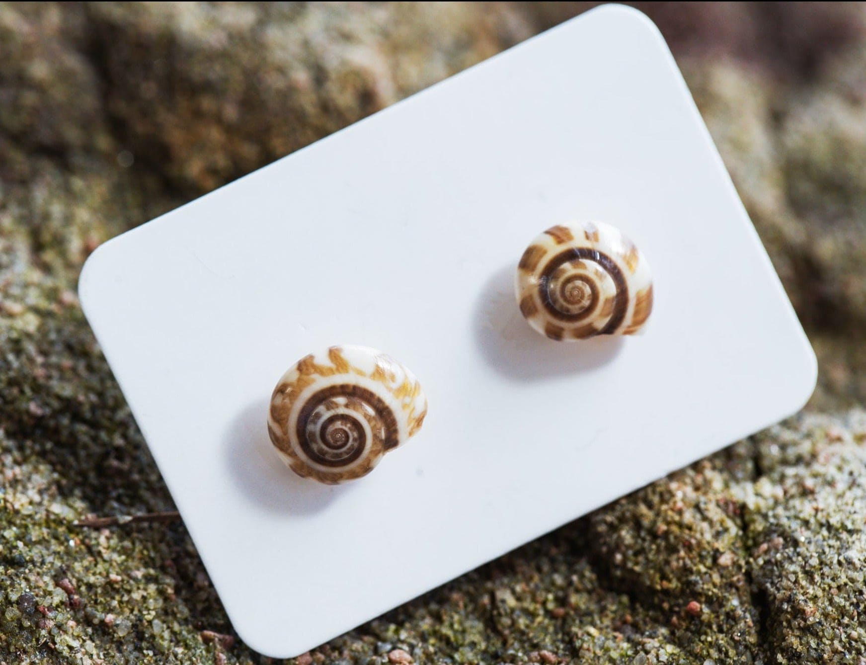 Planted By the Waters Earrings - Shell Studs