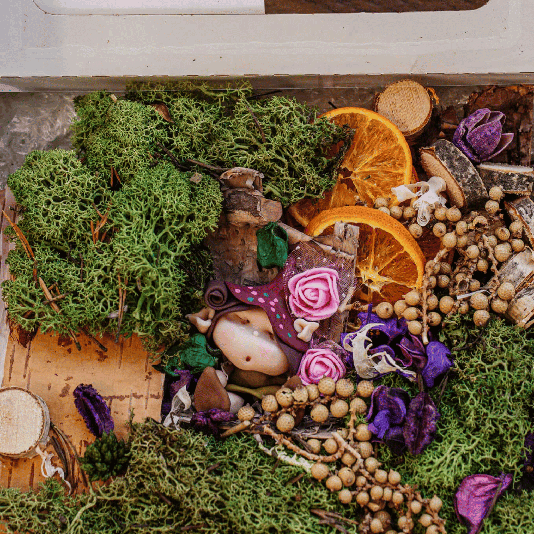 The Little Dearies My Own Fairy Garden - The Little Dearies