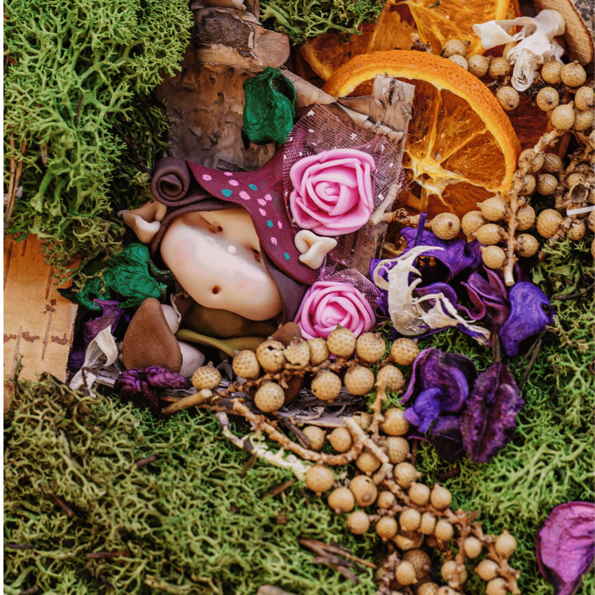 The Little Dearies My Own Fairy Garden - The Little Dearies