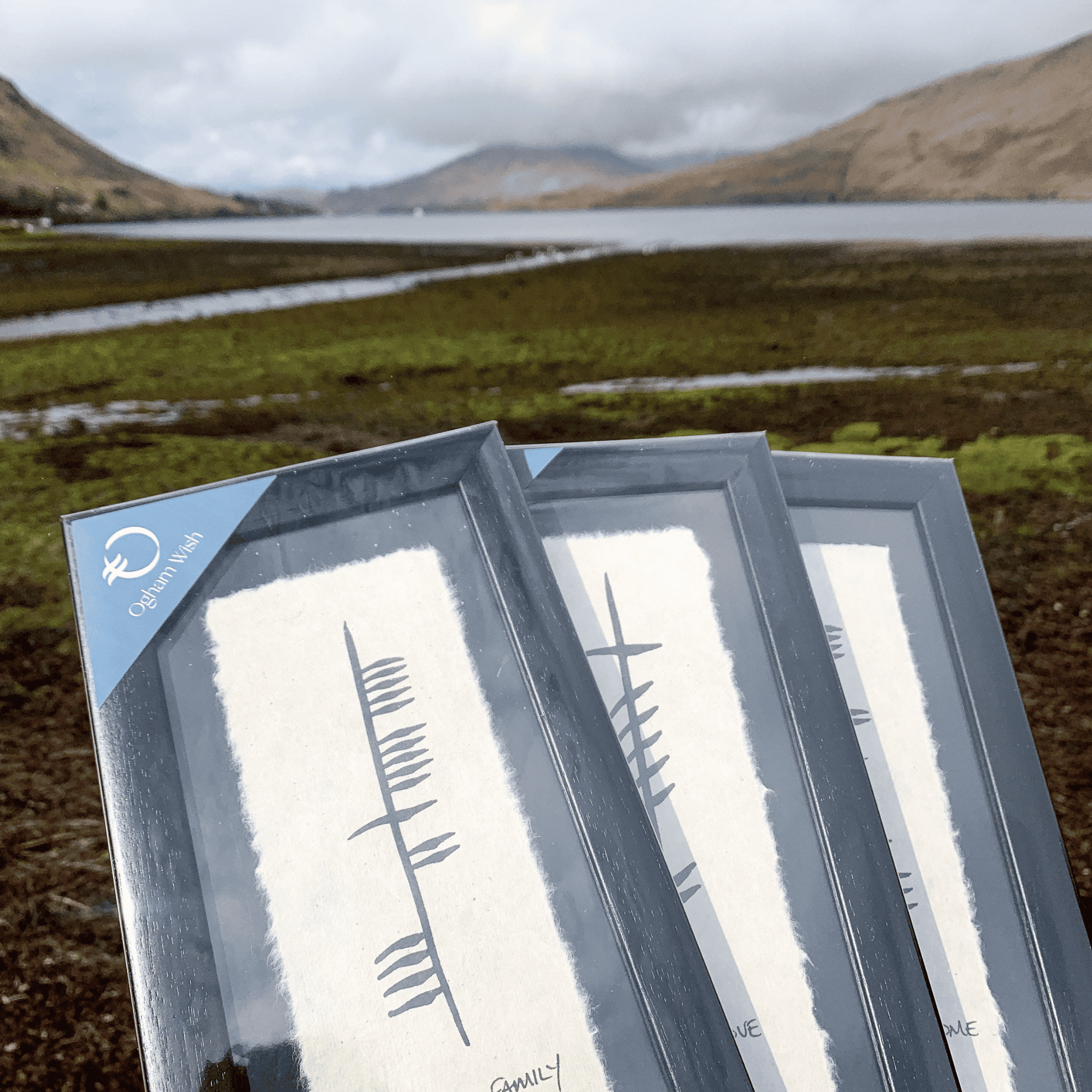 Ogham Wish Ogham Wish - Clann / Family