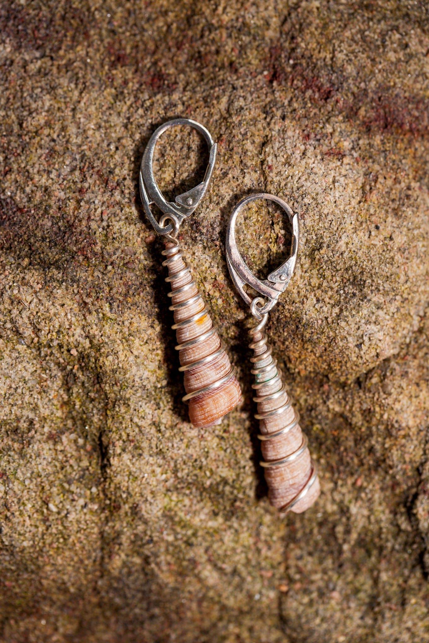 Planted By The Water Planted By the Waters Earrings - Corkscrew Shell Earrings