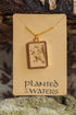 Planted By The Water Planted By the Waters Necklace - Gold Grass