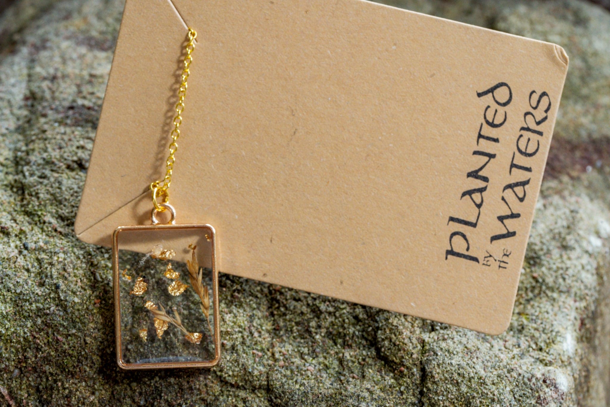 Planted By The Water Planted By the Waters Necklace - Gold Grass
