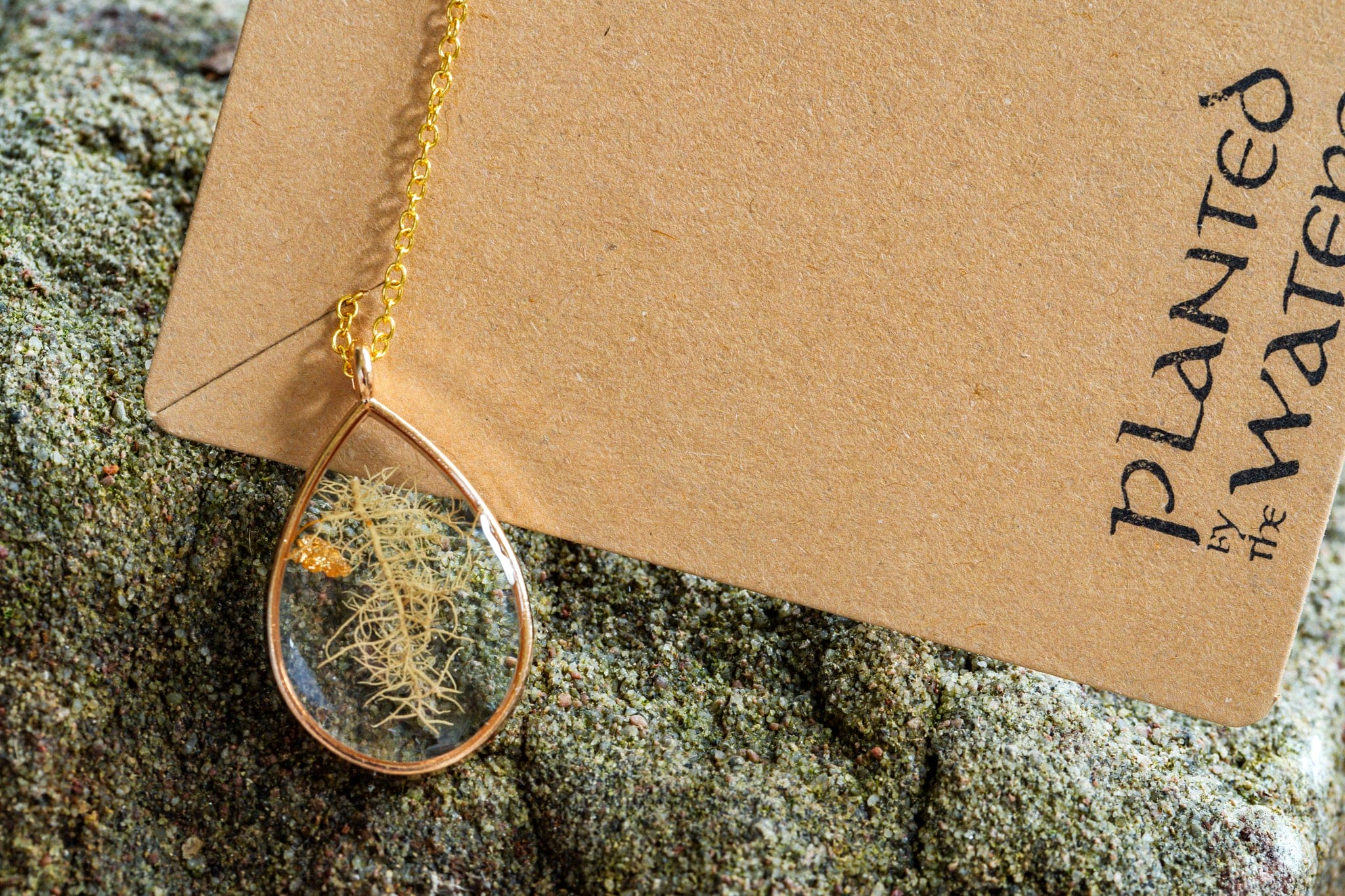 Planted By The Water Planted By the Waters Necklace - Gold Lichen