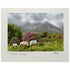 Sean Tomkins Sean Tomkins Print - 12 Bens Connemara Co Galway