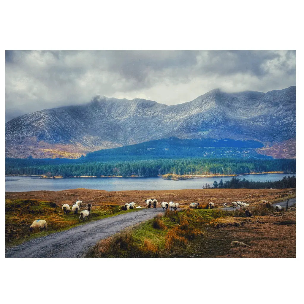 Sean Tomkins Sean Tomkins Print - Inagh Valley Connemara Co Galway