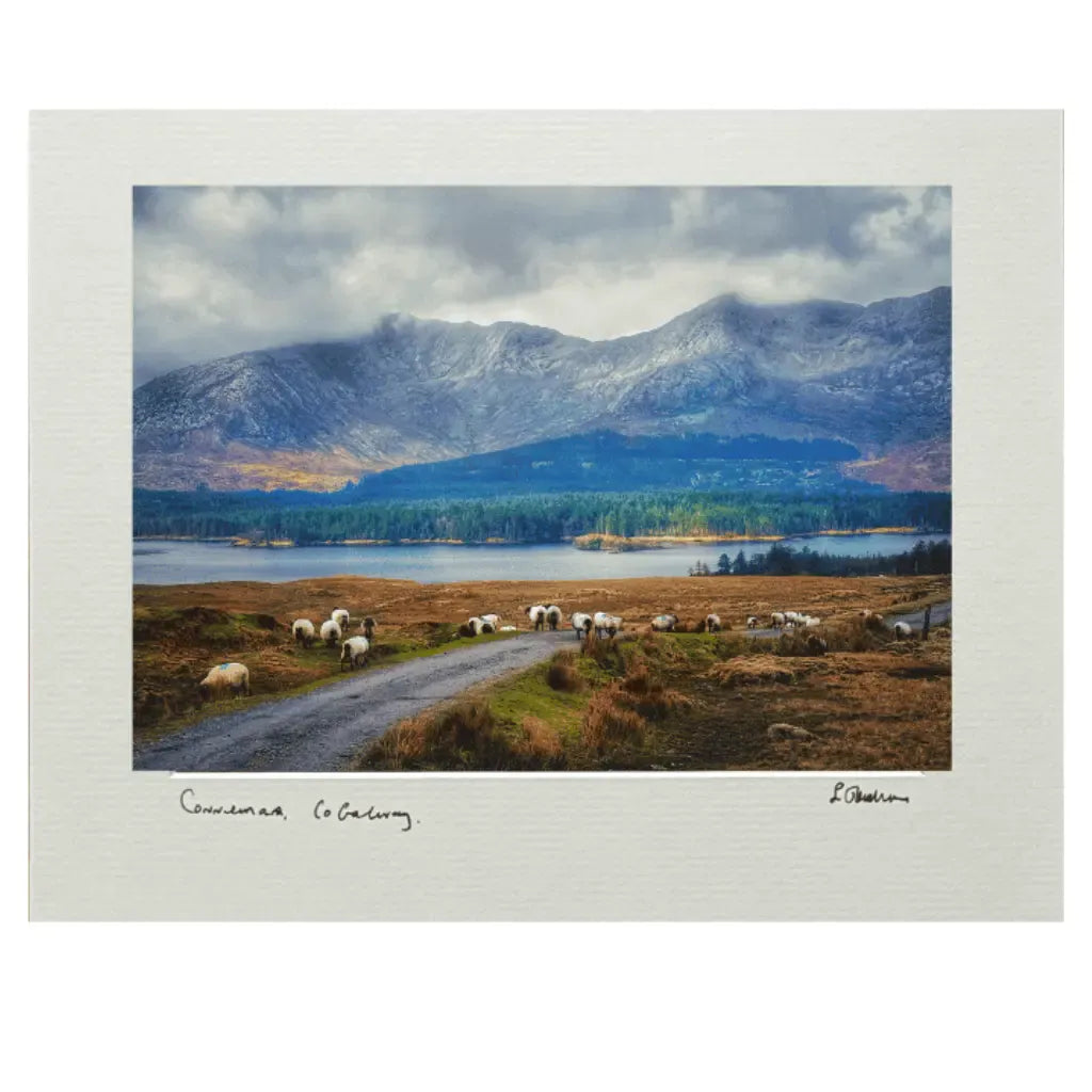 Sean Tomkins Sean Tomkins Print - Inagh Valley Connemara Co Galway