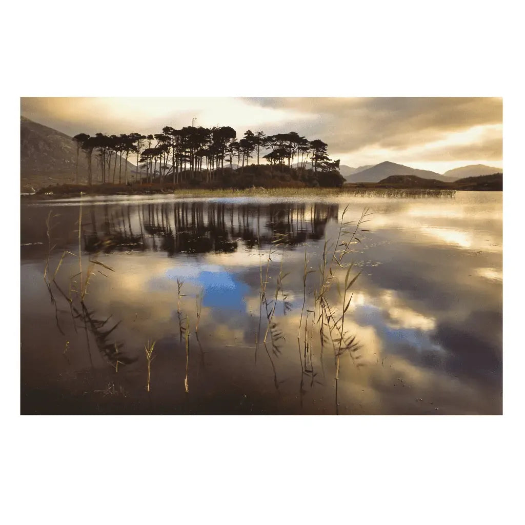 Sean Tomkins Sean Tomkins Print - Pine Island