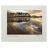 Sean Tomkins Sean Tomkins Print - Pine Island