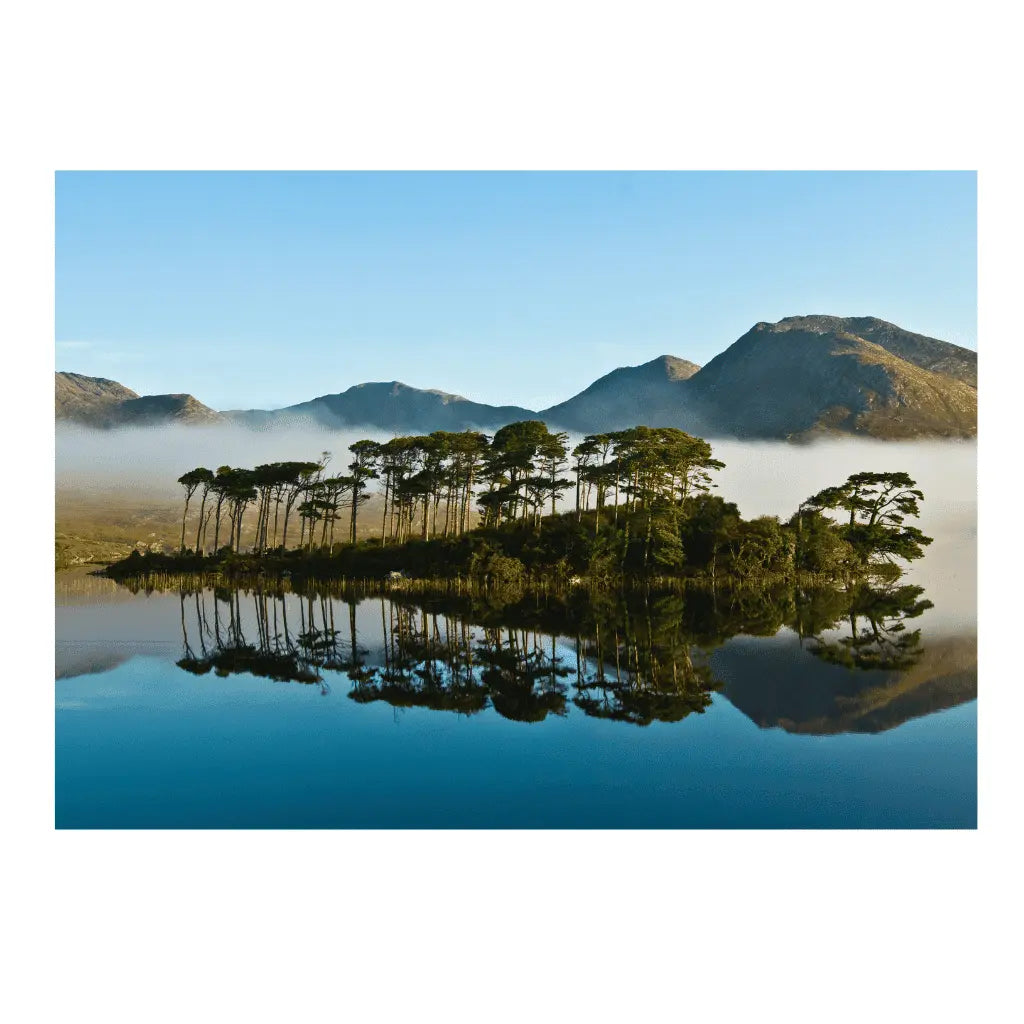Sean Tomkins Sean Tomkins Print - Sunny Pine Island Connemara Co Galway