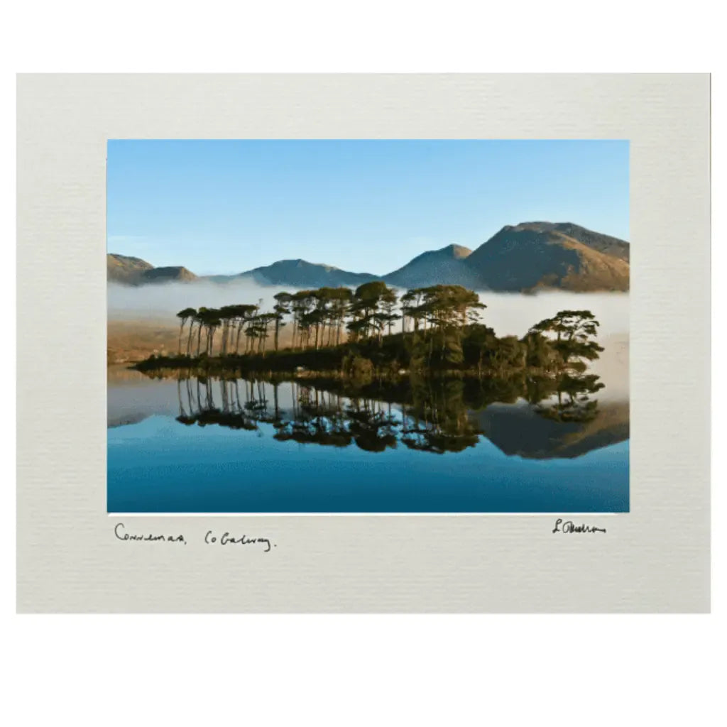 Sean Tomkins Sean Tomkins Print - Sunny Pine Island Connemara Co Galway