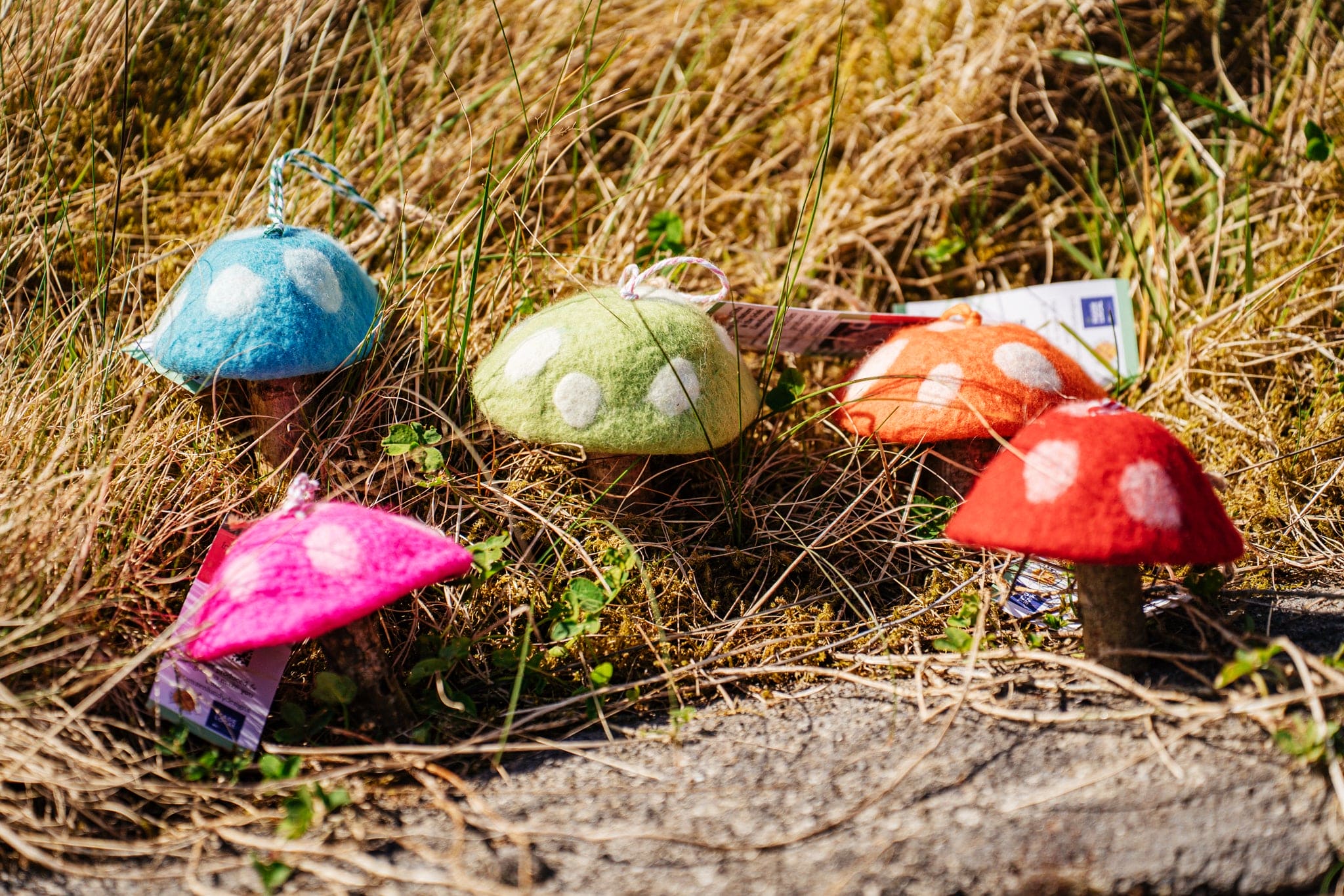 Tamzen Lundy Designs - Rainbow Toadstools