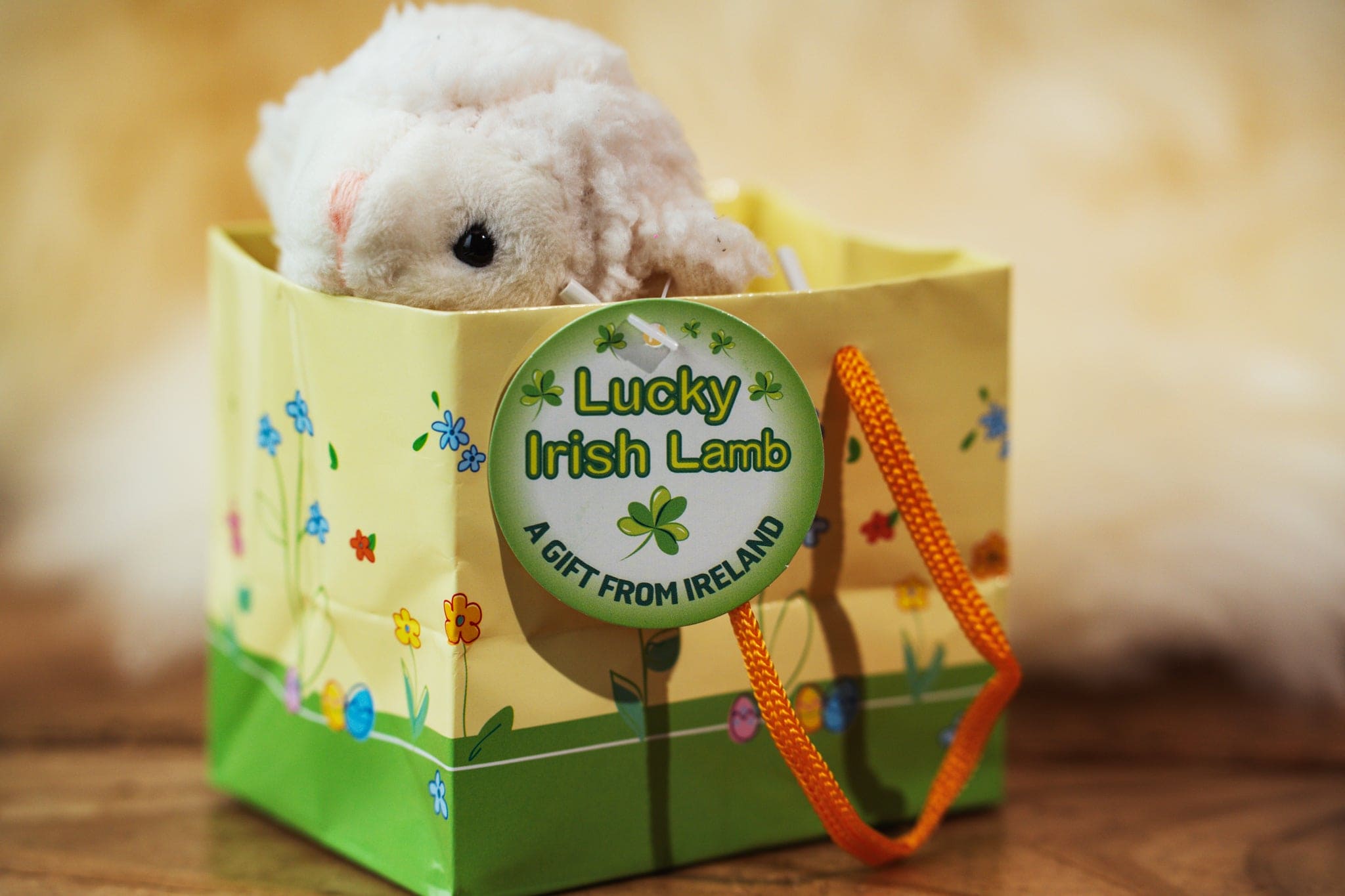 Lucky Irish Lamb A Gift From Ireland