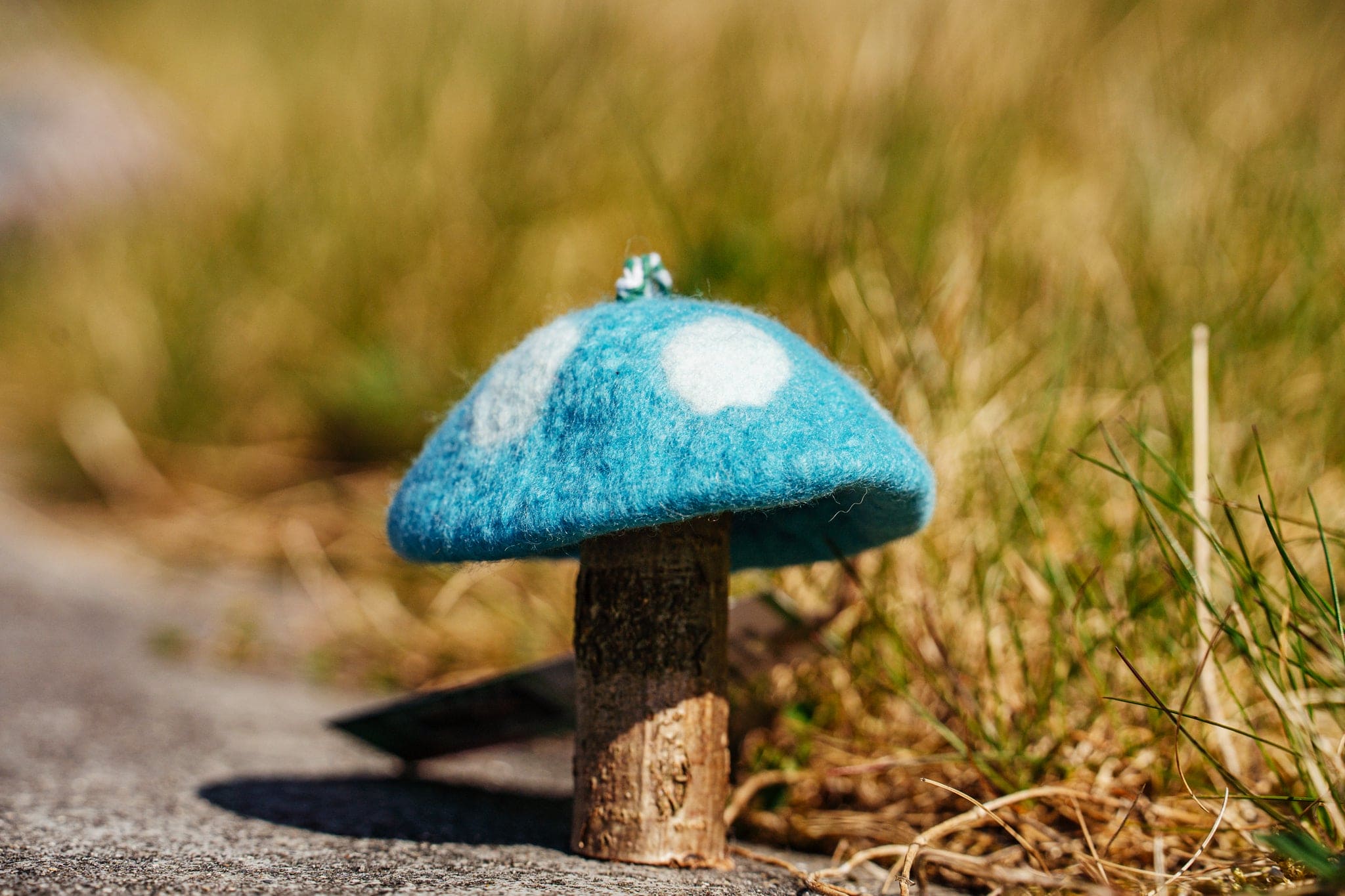 Tamzen Lundy Designs - Rainbow Toadstools