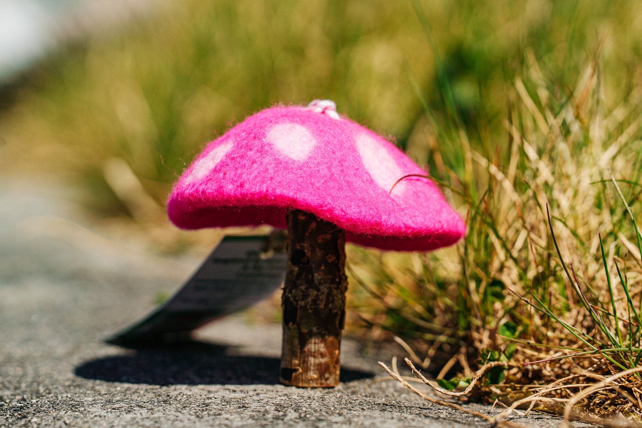 Tamzen Lundy Designs - Rainbow Toadstools