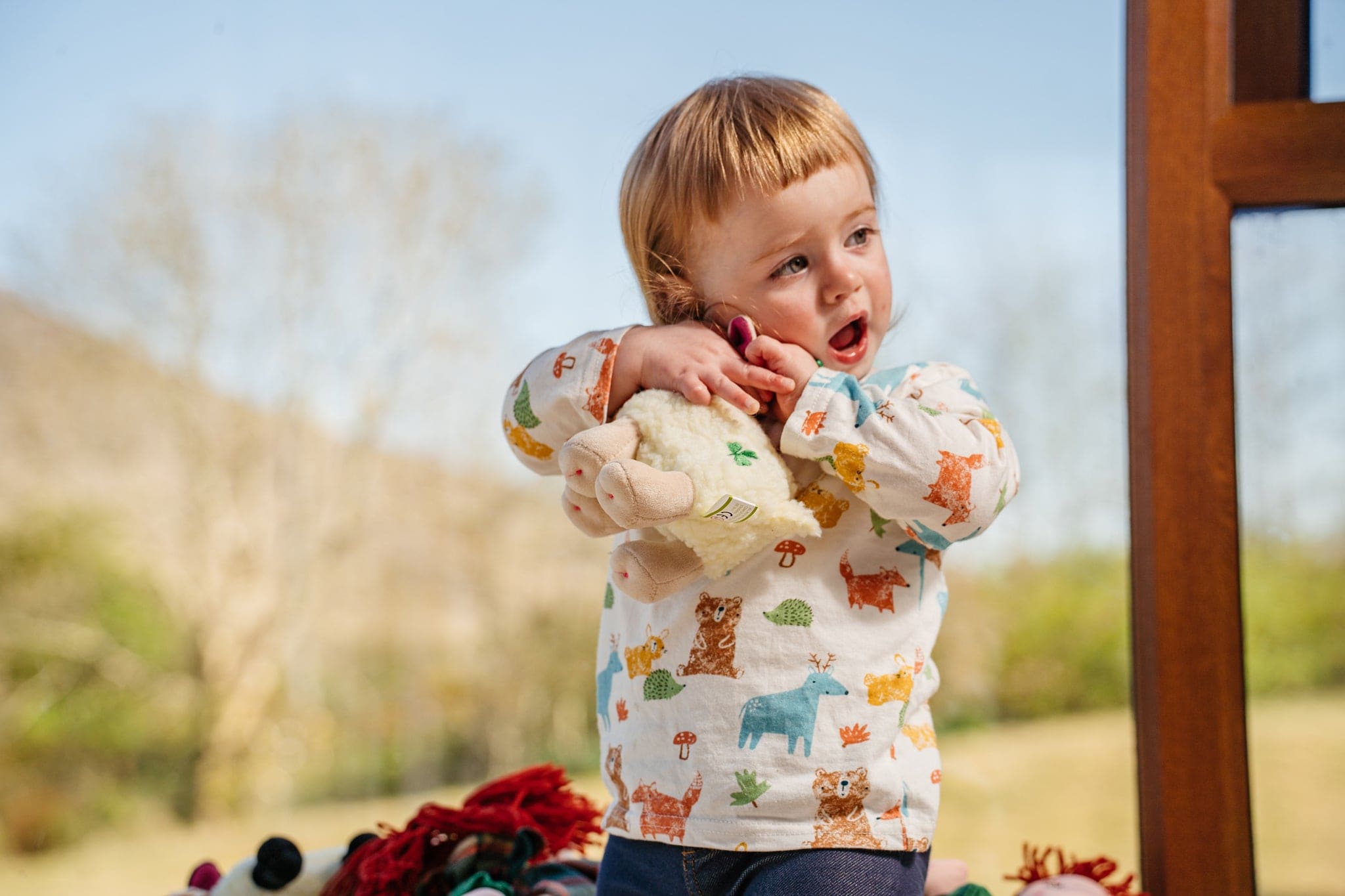 Irish Lamb Teddy