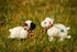 Irish Lamb Teddy