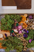 My Own Fairy Garden - The Little Dearies