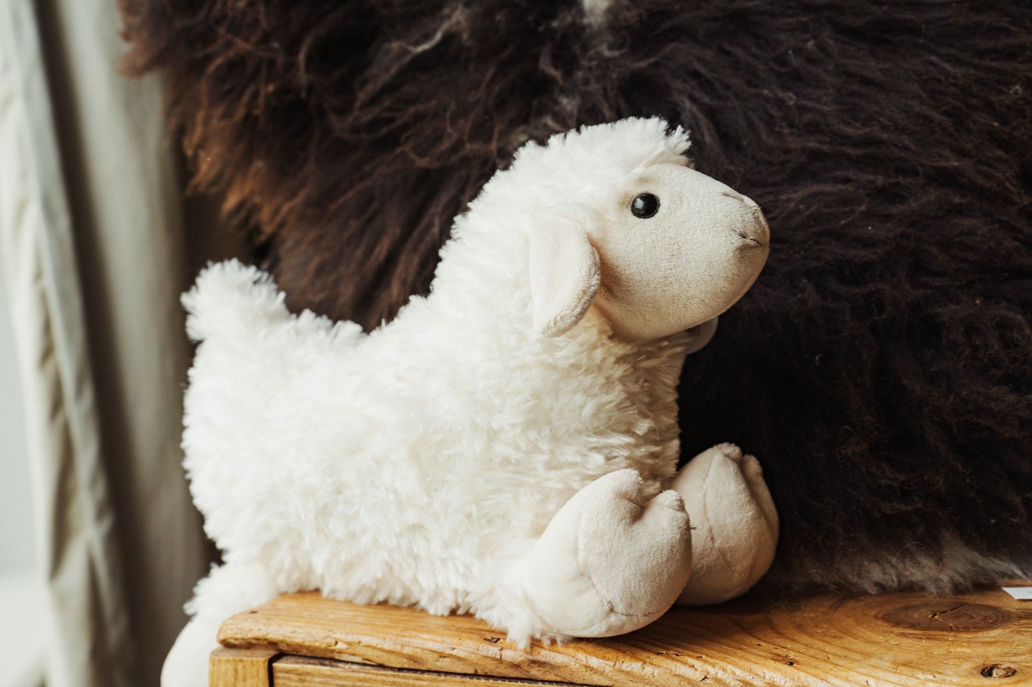 Cuddles Galore Sheep Teddy - White Faced Medium