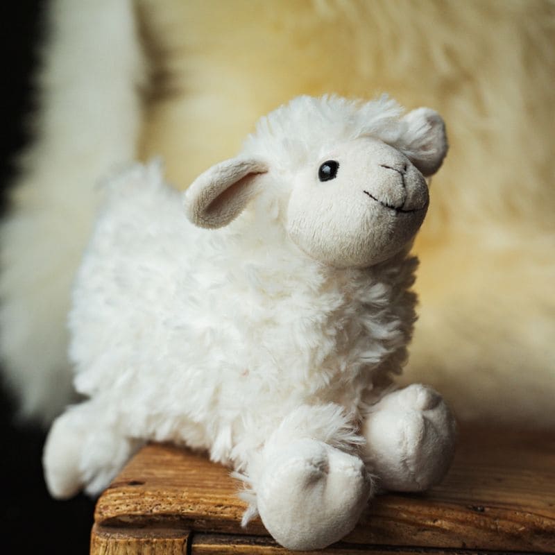 Cuddles Galore Sheep Teddy - White Faced Small