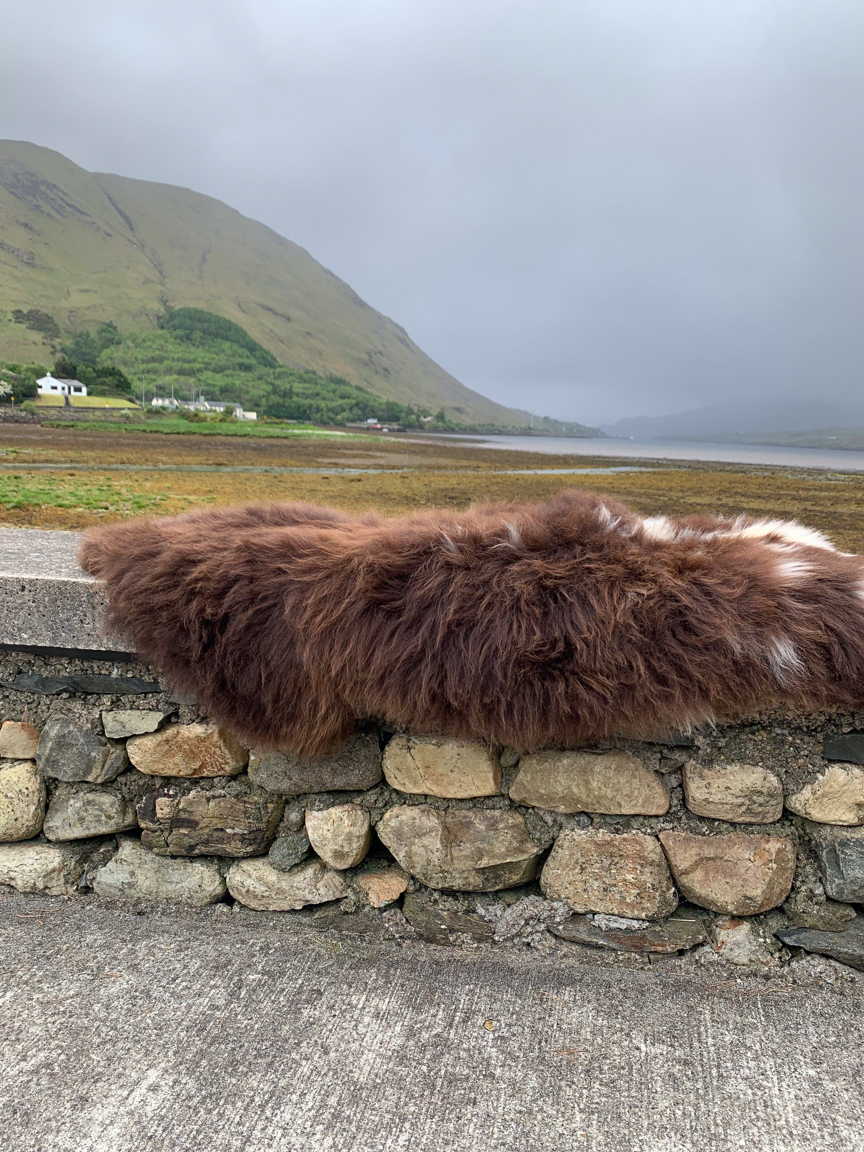 Waterford Sheepskins Sheepskin Rug - Rare Breed